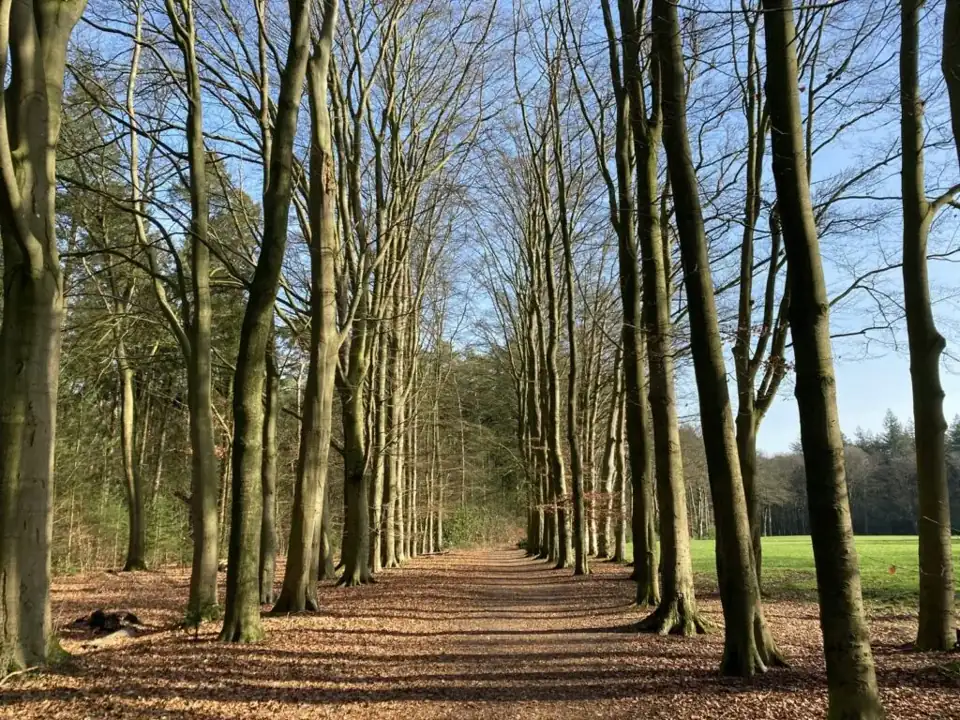 Landgoederen Enschede
