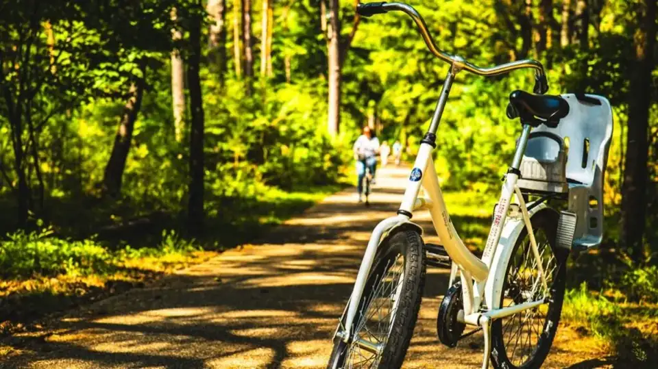 Fietsen in Het Nationaal Park de Hoge Veluwe