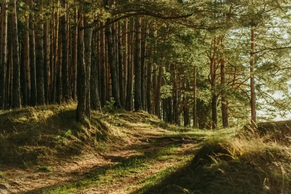 Turfvaartse landgoederen