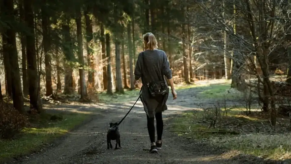 Beste wandelschoenen voor vrouwen