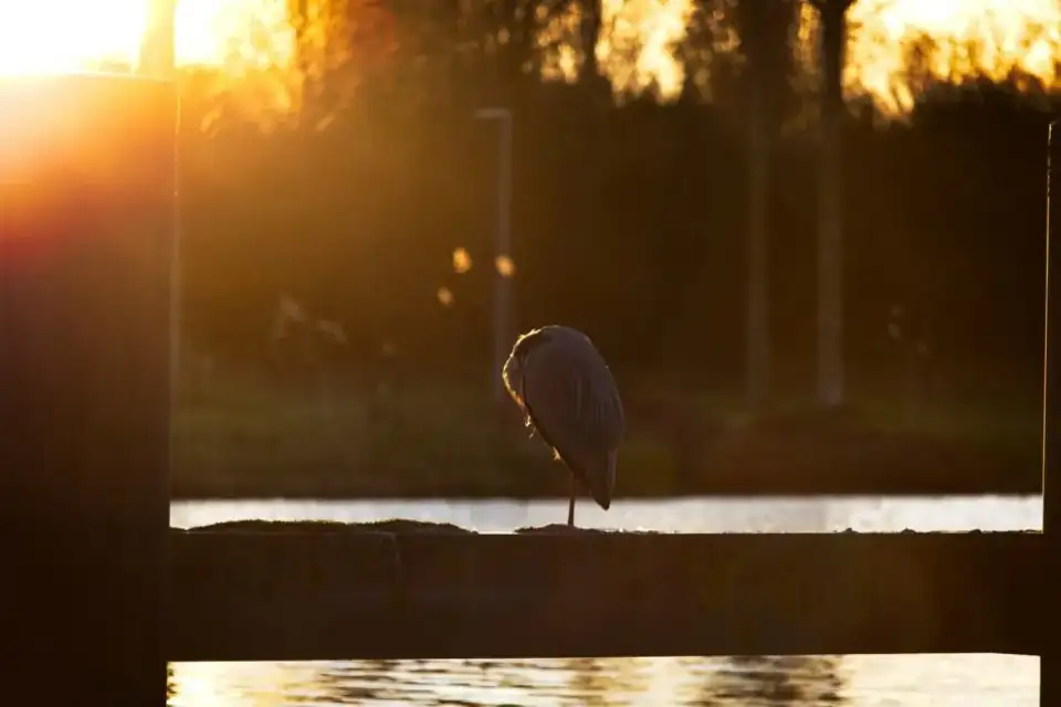 Landgoederen Almere