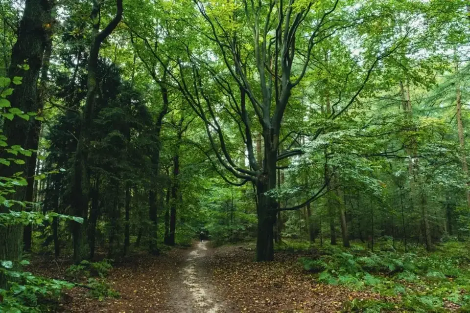 Landgoederen Doorn