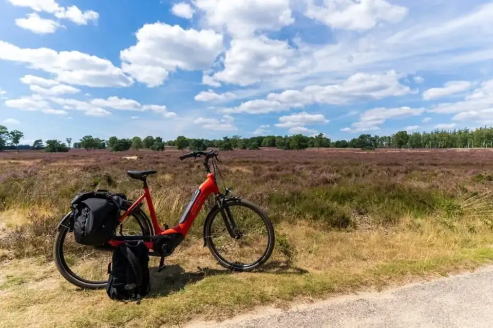 Veluwe