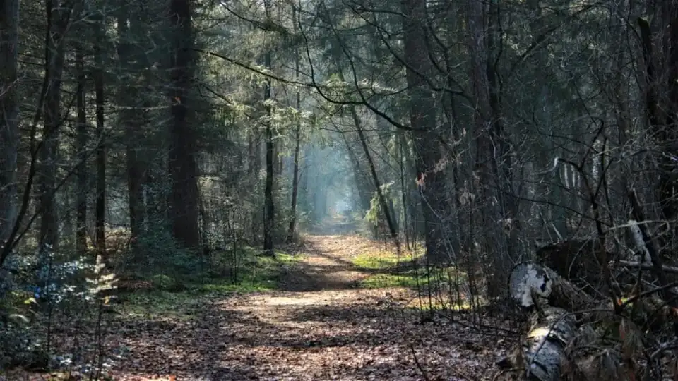 Beekbergen