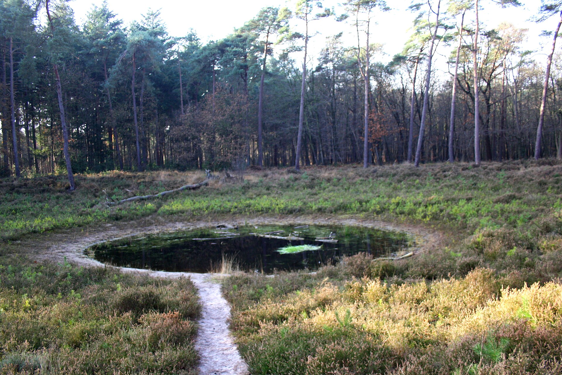 Landgoed De Eese, landgoed in Drenthe