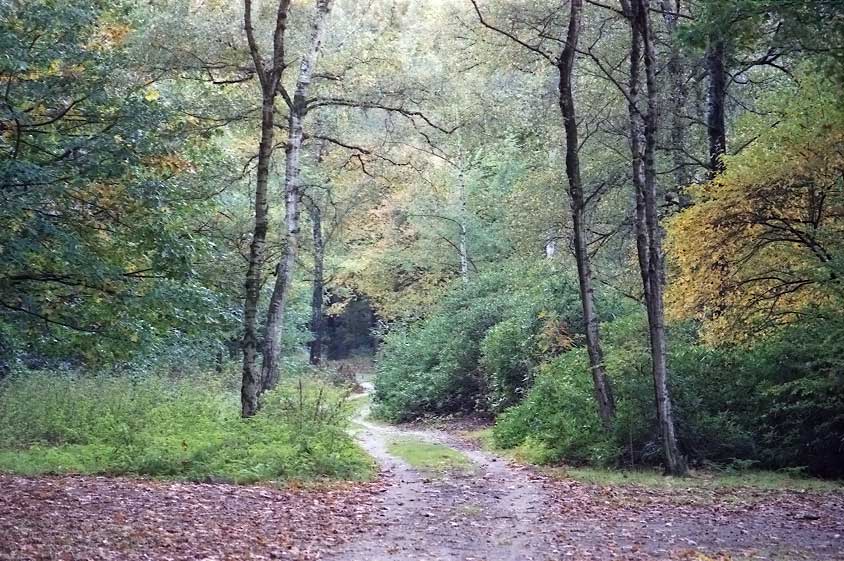 Landgoed de Groote Slink-Bunthorst