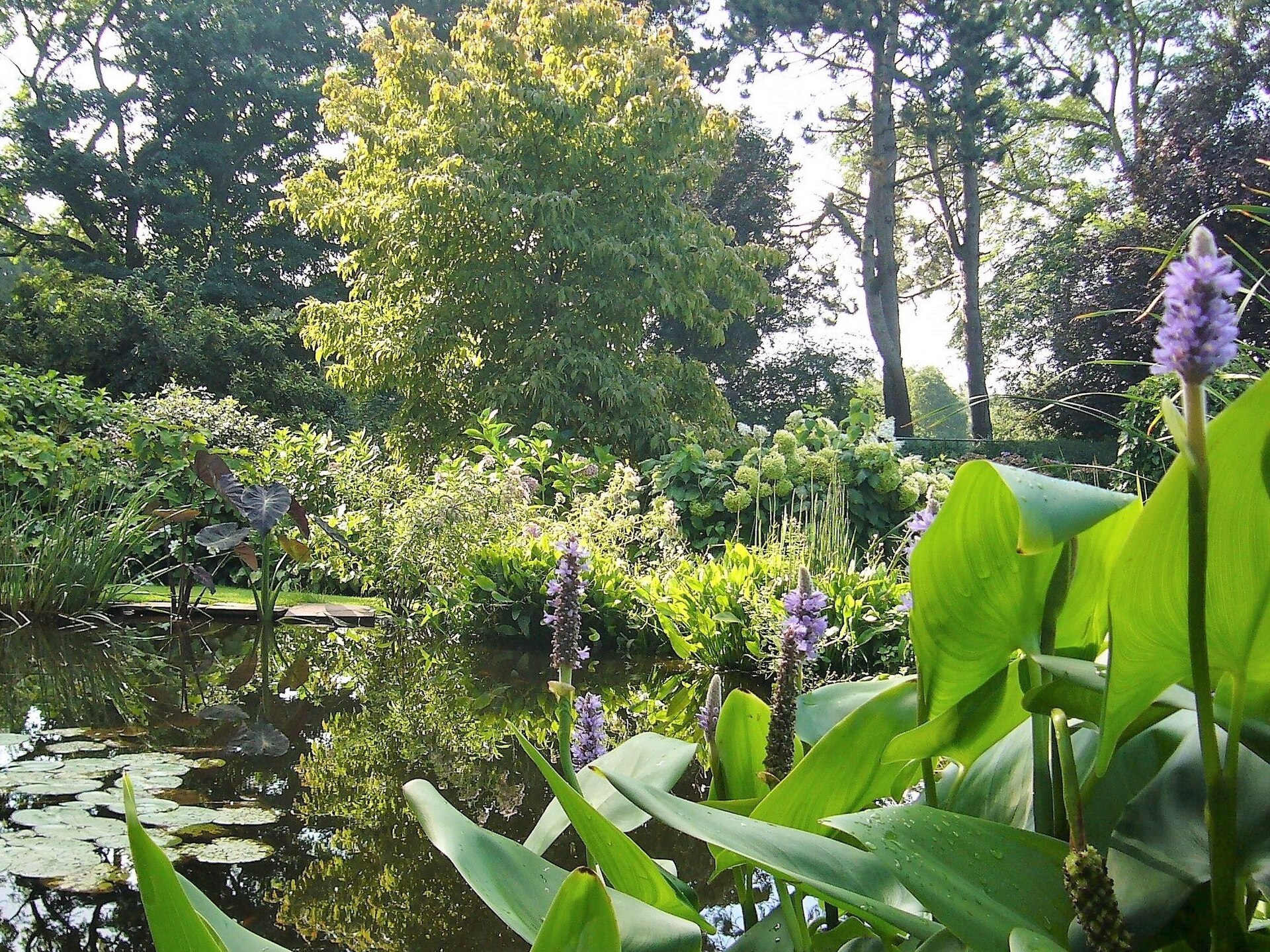 Landgoed de Hertgang