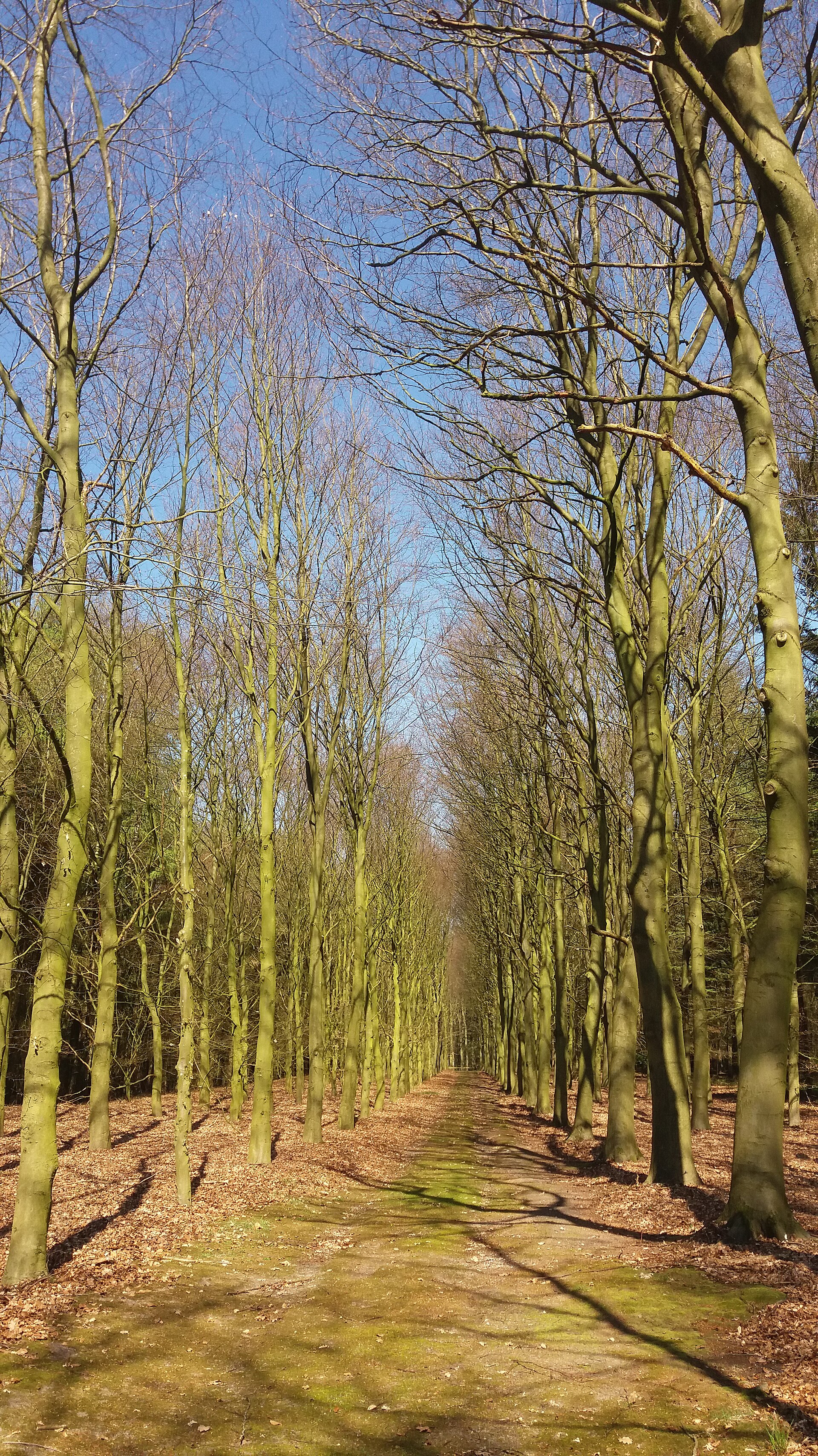 Landgoed De Paltz