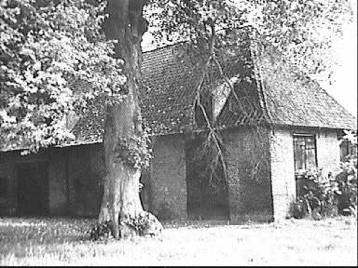 Landgoed Hof te Dieren, landgoed in Gelderland