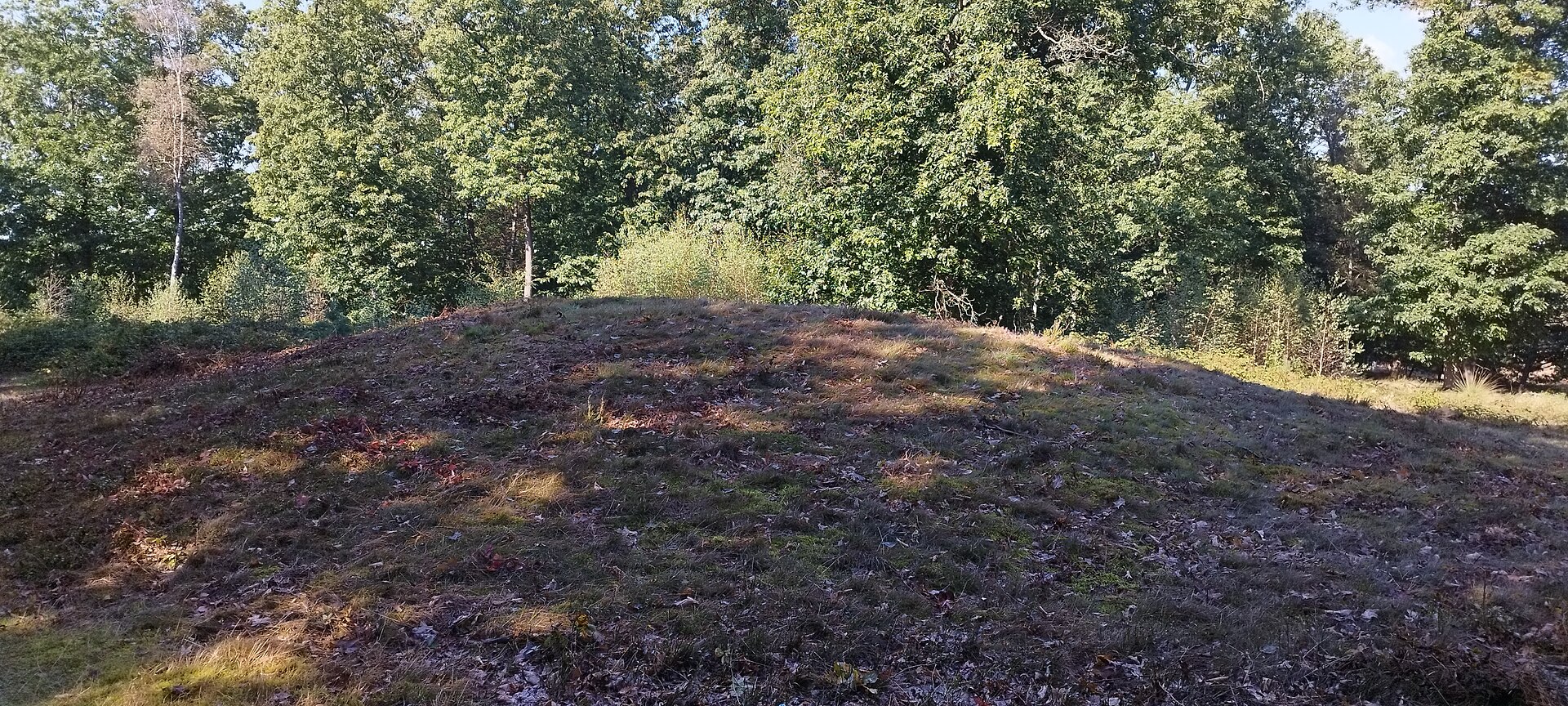 Landgoed Warnsborn, landgoed in Gelderland