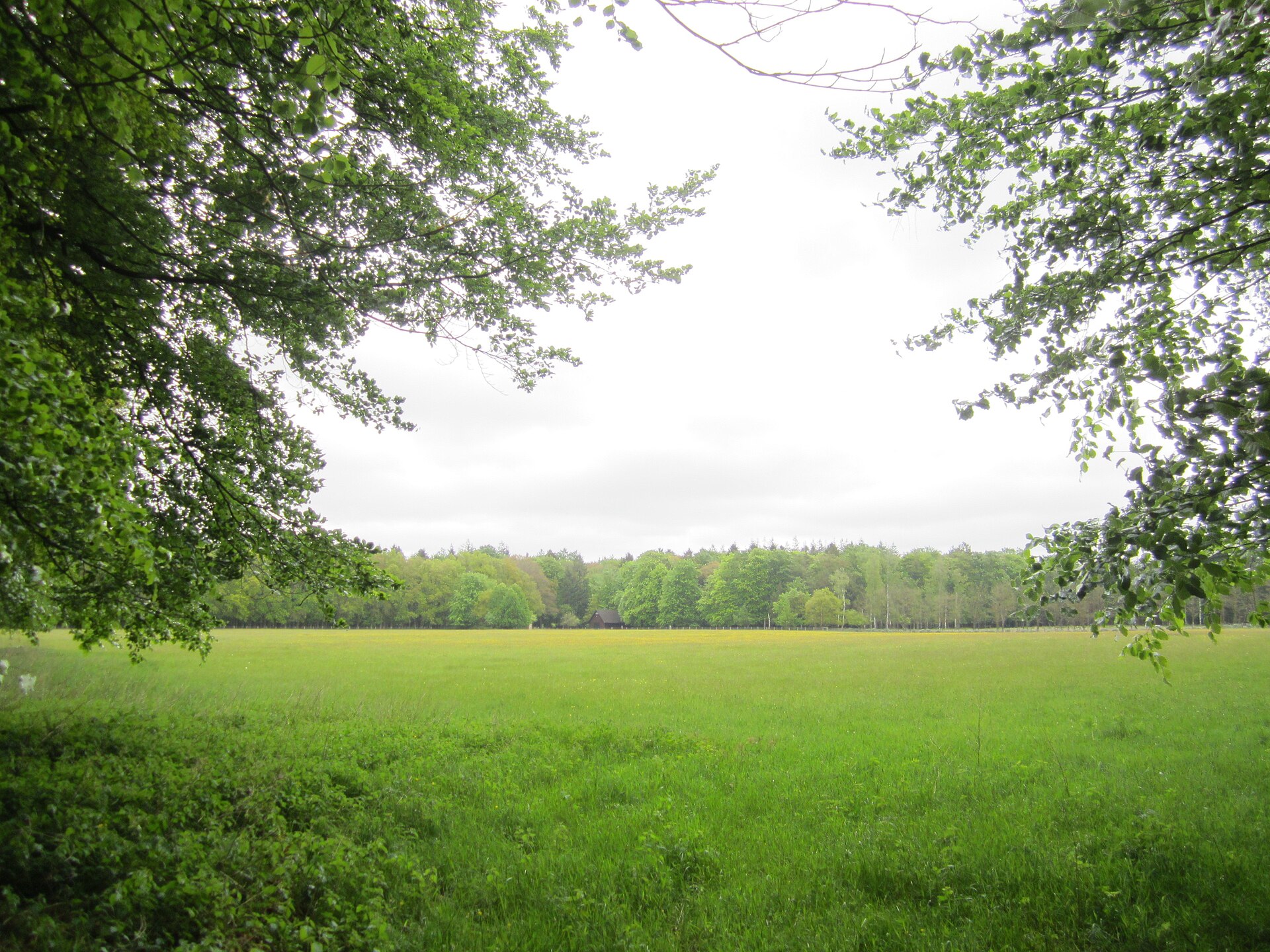 Landgoed Welna