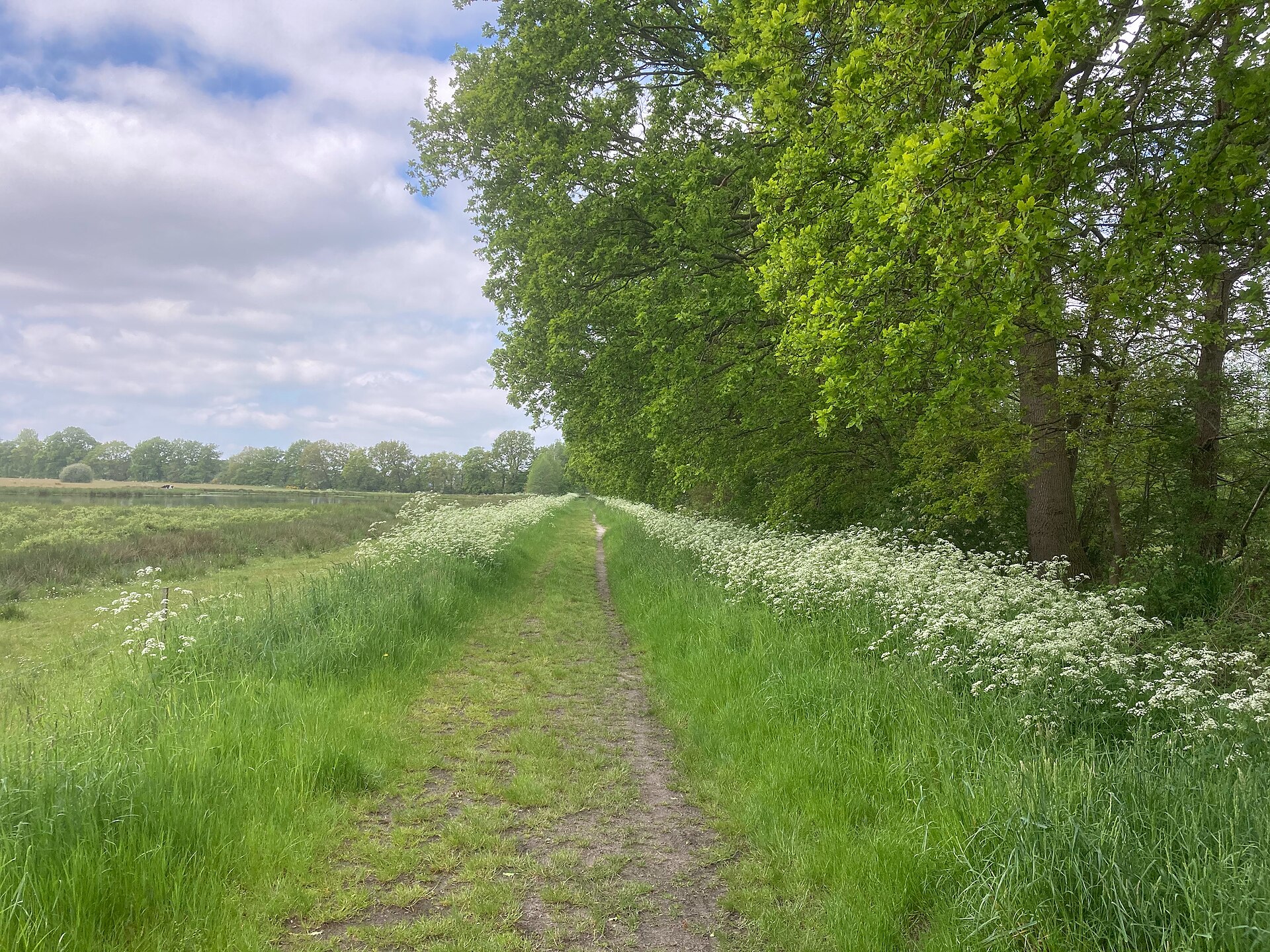 Natuurgebied landgoed De Klencke