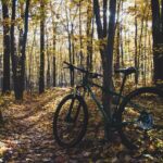 Fietsroutes landgoederen Nederland