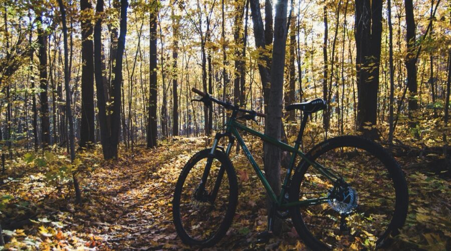 10 Betoverende & leuke fietsroutes op landgoederen in Nederland