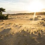 Uitkijktoren Kootwijkerzand