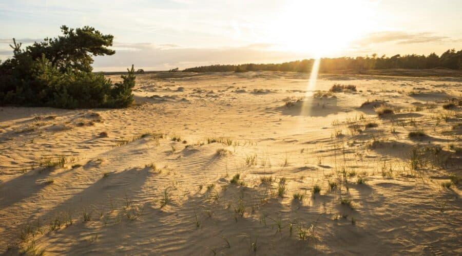 13 Tips voor het perfecte bezoek aan de uitkijktoren Kootwijkerzand