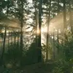 Wandelroute Landgoed Schovenhorst