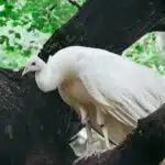 Wandelroutes Landgoed Staverden