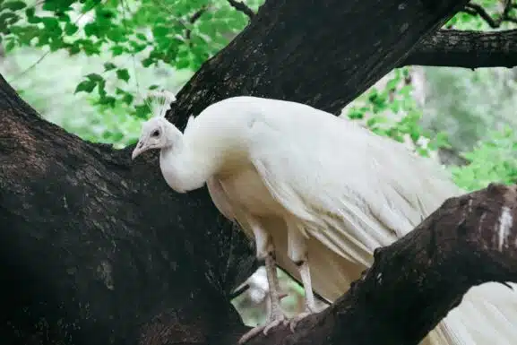 Wandelroutes Landgoed Staverden
