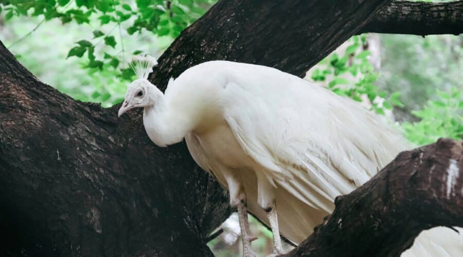Ontdek de mooiste wandelroutes op Landgoed Staverden