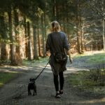 Beste wandelschoenen voor vrouwen