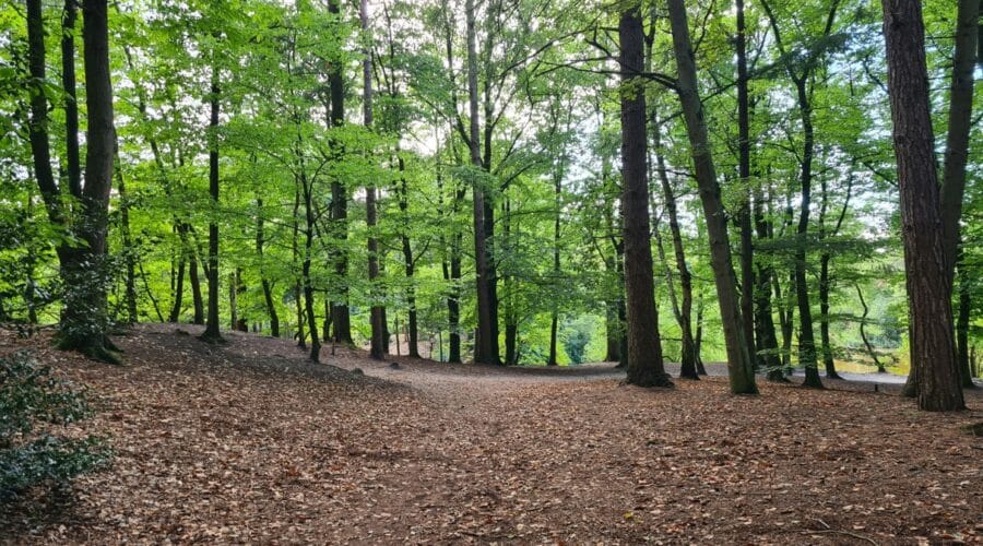 Kom tot rust op de landgoederen van Amersfoort