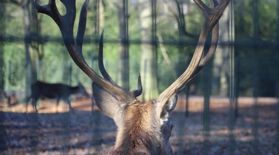Ontdek de mooiste landgoederen Almelo: 5 verborgen parels