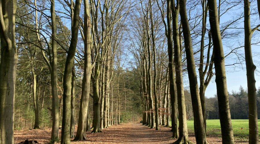De redenen waarom landgoederen Enschede je moet bezoeken