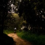 Fietsroute Landgoed De Utrecht