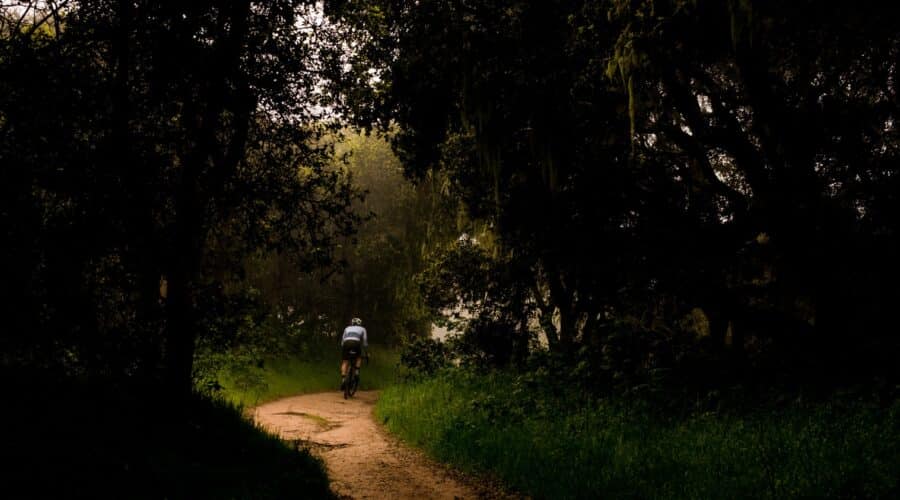 Fietsroute Landgoed de Utrecht: Ontdek natuur en historie