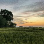 Landgoederen België