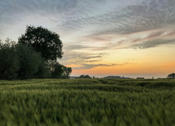Landgoederen België