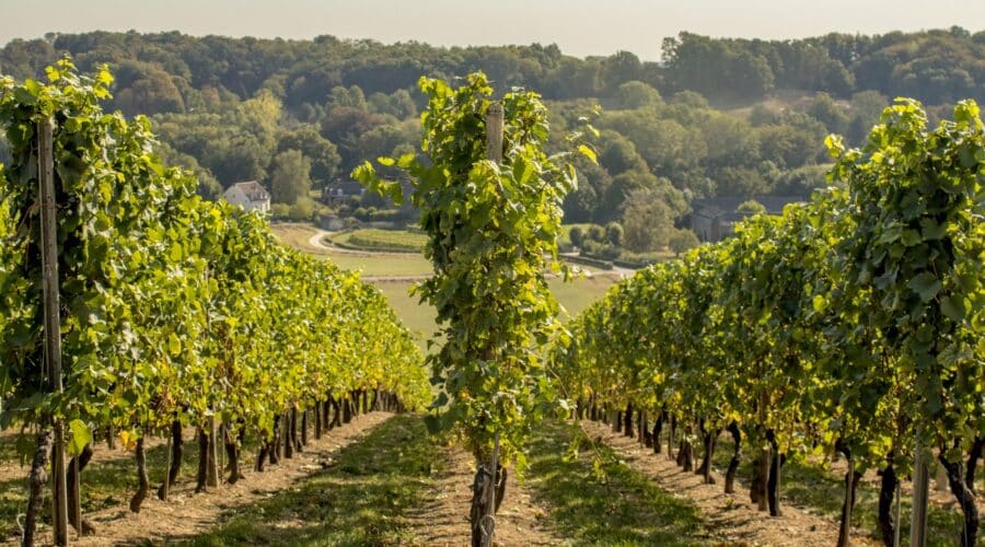 Bijzonder overnachten in Limburg met rust, natuur en cultuur